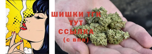 марки lsd Новозыбков