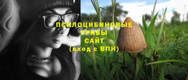 стаф Новодвинск