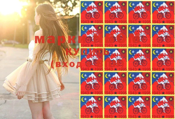 марки lsd Новозыбков