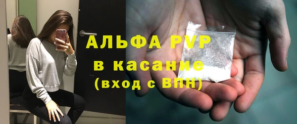 стаф Новодвинск