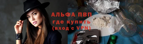 стаф Новодвинск