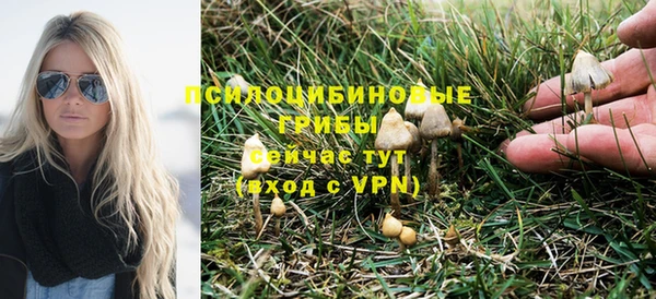марки lsd Новозыбков