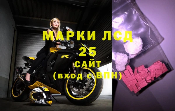 стаф Новодвинск
