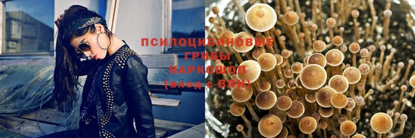 марки lsd Новозыбков