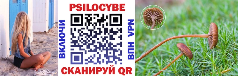Купить  Пестово  Псилоцибиновые грибы прущие грибы 